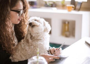 How to Create a Balance and Reach Your Goals in Freelance Writing