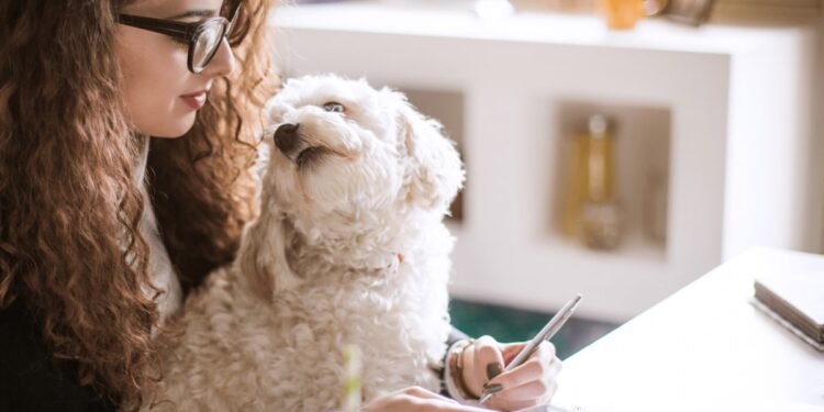 How to Create a Balance and Reach Your Goals in Freelance Writing